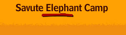 savute Elephant Camp
